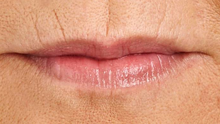 Illustration for article titled Lips.